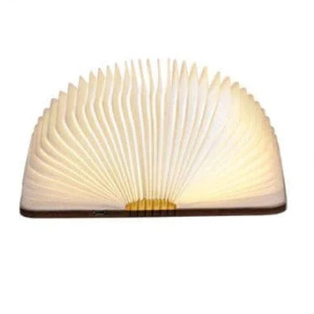 LIFETIME Kidsrooms Children's lamp in the shape of a book with USB