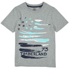 TIMBERLAND T-shirt chłopięcy szary z błękitnym nadrukiem