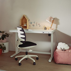 LIFETIME Kidsrooms Electrical Adjustable Desk with Drawer and USB