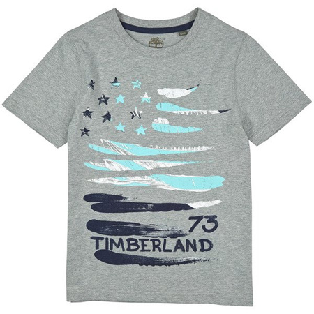 TIMBERLAND T-shirt chłopięcy szary z błękitnym nadrukiem