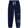 TIMBERLAND Boys tracksuit pants