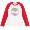TIMBERLAND T-shirt chłopięcy z długim rękawem