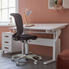 LIFETIME Kidsrooms Writing Desk - Height and Slant Adjustable, whitewash