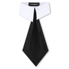 KARL LAGERFELD Collar Tie