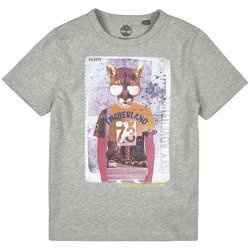 TIMBERLAND T-shirt dla chłopca szary z ndrukime z przodu