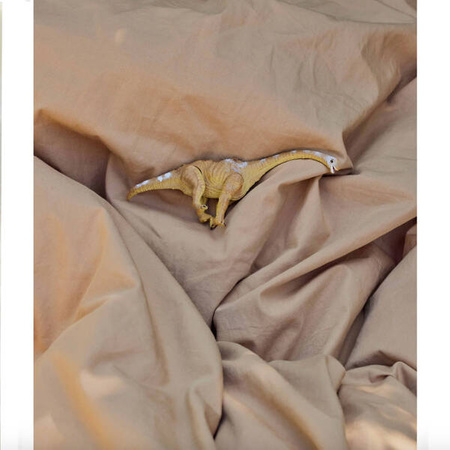 DEAR APRIL FITTED JUNIOR SHEET 68X162 CM, SANDY FEET