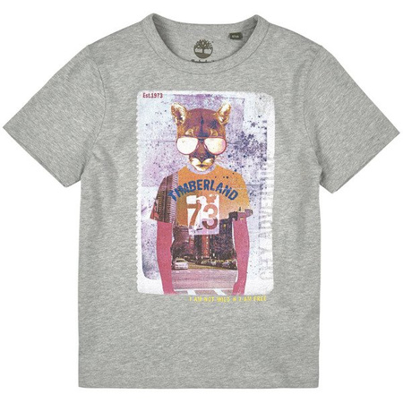 TIMBERLAND T-shirt